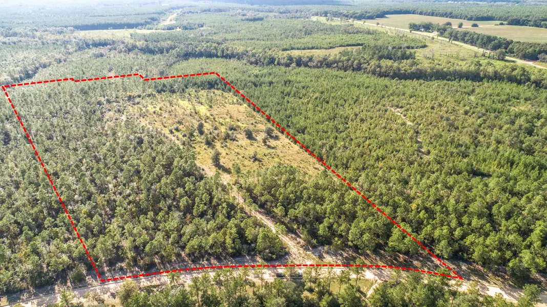 31.5 Acres Planters Dr N, Laurel Hill, FL 32567