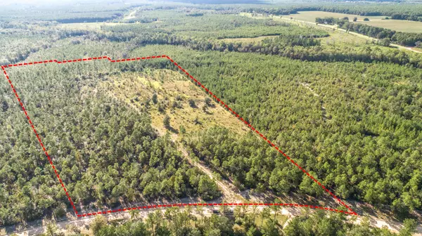 31.5 Acres Planters Dr N, Laurel Hill, FL 32567