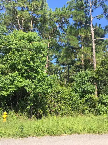 Lot 18 Central 7th Street, Santa Rosa Beach, FL 32459