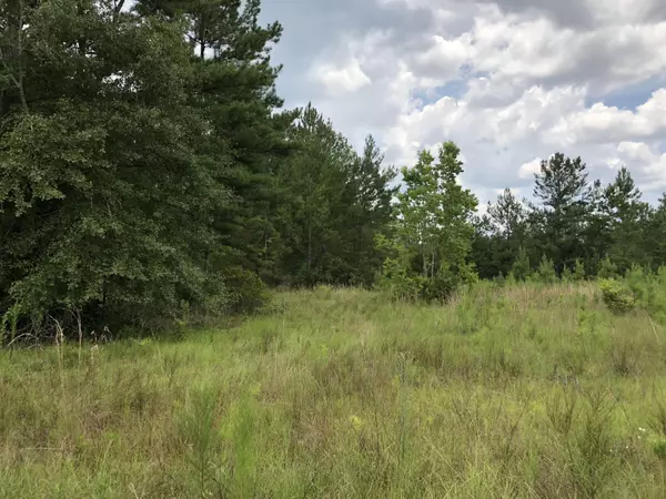 Fountain, FL 32438,11136 Silver Lake Road