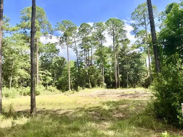 Lot 17&18 Daisy Drive, Santa Rosa Beach, FL 32459