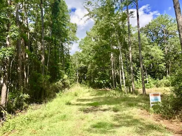 Santa Rosa Beach, FL 32459,Lot 17&18 Daisy Drive