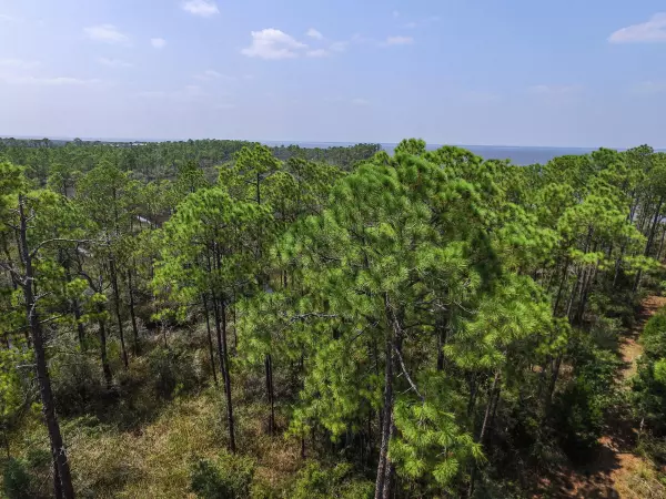 Santa Rosa Beach, FL 32459,Lot 14 B Whisper Lane