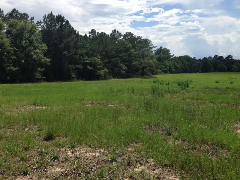 000 Mill Creek Road, Laurel Hill, FL 32567