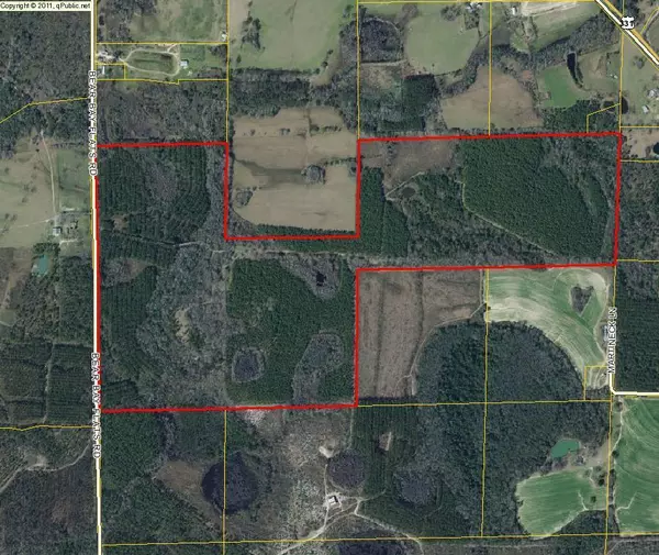 Paxton, FL 32538,250 AC. Bear Bay Flats Road