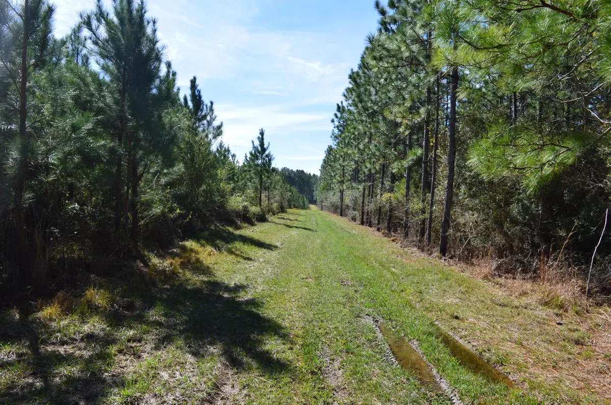 Paxton, FL 32538,250 AC. Bear Bay Flats Road