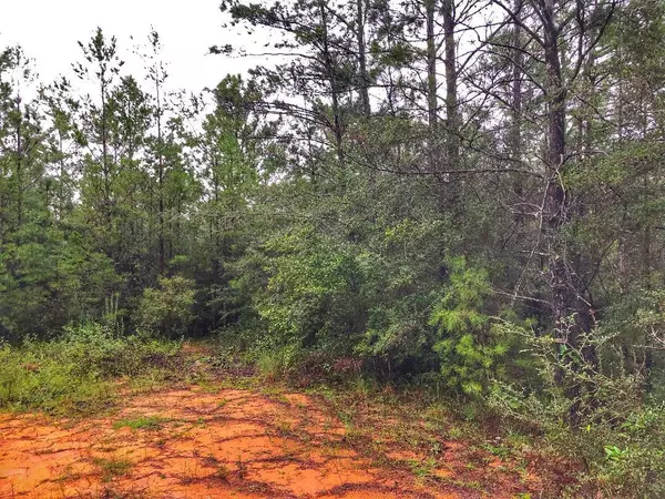 Defuniak Springs, FL 32433,Lot 9 Orchid Lane