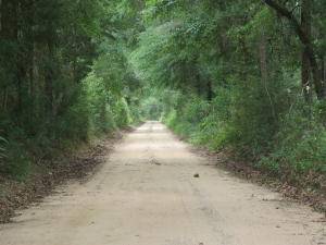 2.4 Ac XXX Broderick Road, Holt, FL 32564