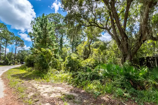 Santa Rosa Beach, FL 32459,Lot 3 Block D Turquoise Beach Drive