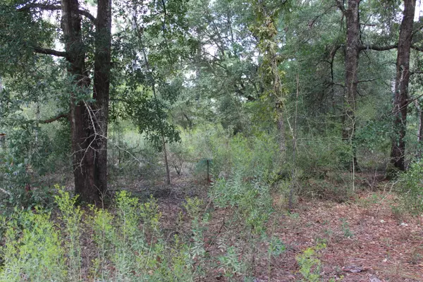 Chipley, FL 32428,6 AC Quail Hollow Boulevard