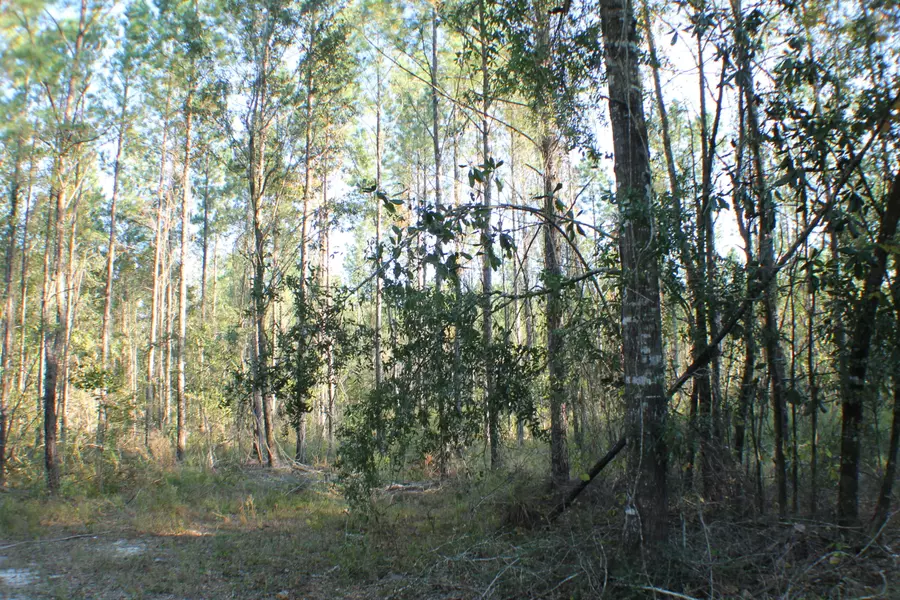 10 AC Bill Lundy Road, Laurel Hill, FL 32567
