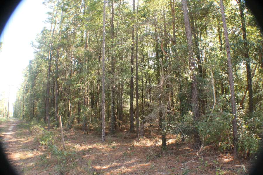 1.13 AC-B W Hwy 90, Holt, FL 32564