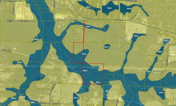 Defuniak Springs, FL 32433,60 Acres Mae's Lane