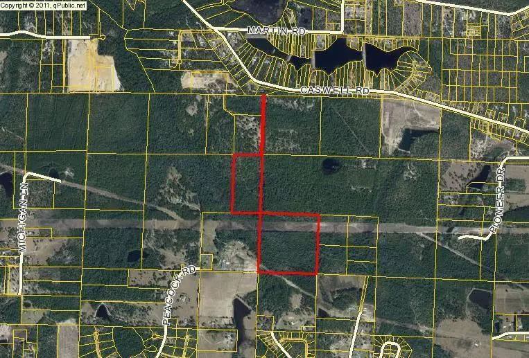 Defuniak Springs, FL 32433,60 Acres Mae's Lane