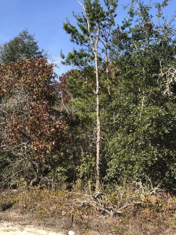 Lot 47 W Dvorak Drive, Defuniak Springs, FL 32433