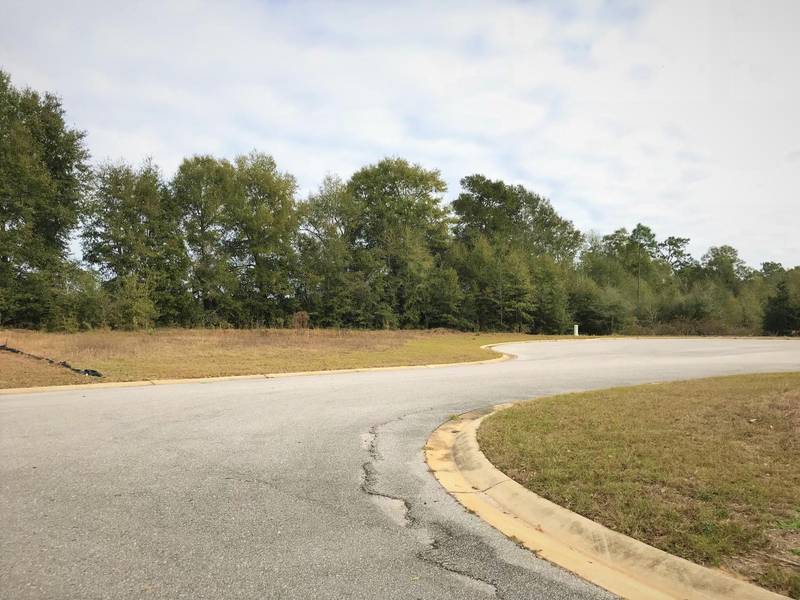 Lot 31 Lena Street, Baker, FL 32531