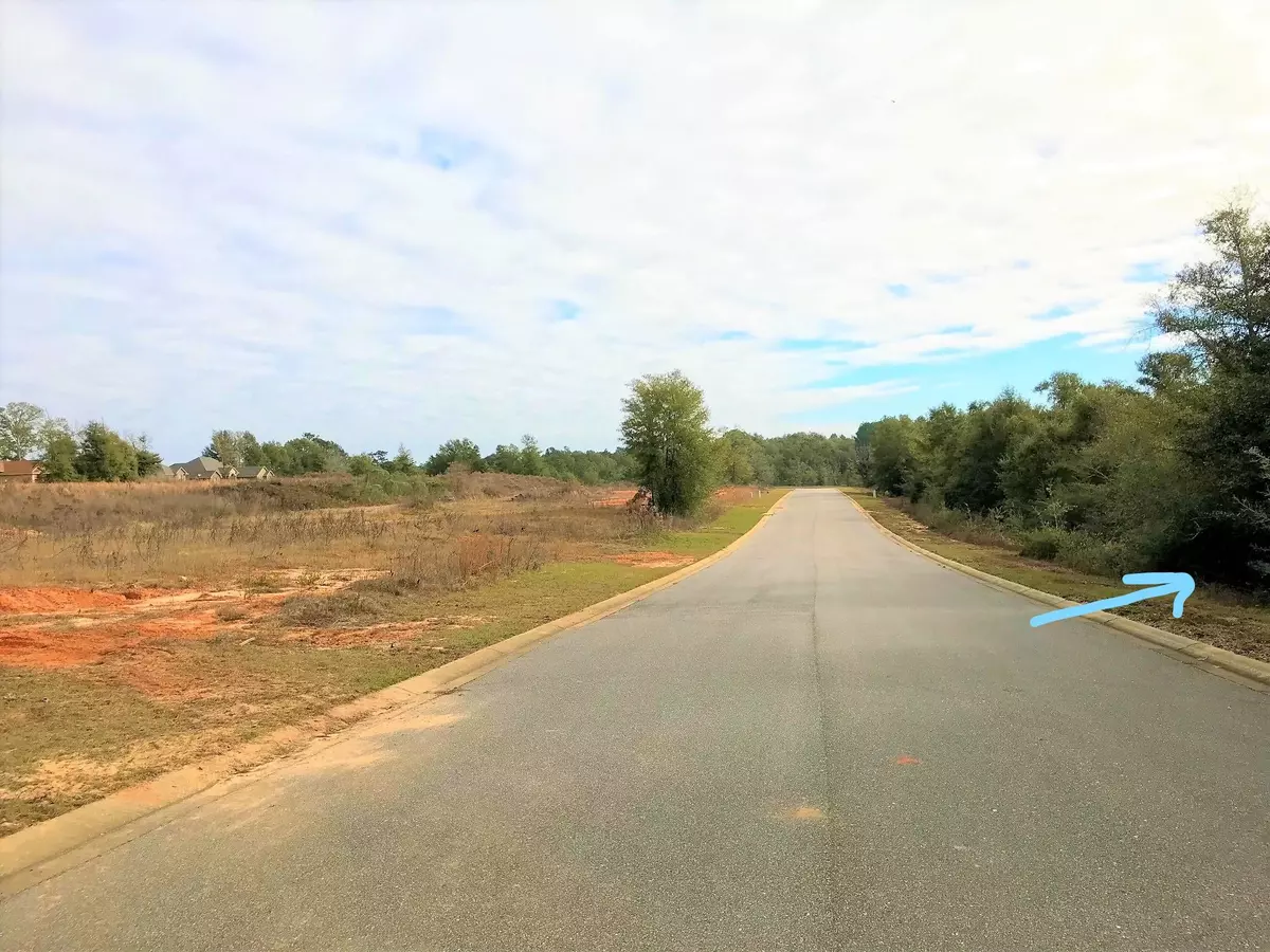 Baker, FL 32531,Lot 9 Lena Street