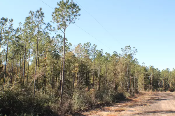 Milton, FL 32570,Lot 1 Forest Hills Drive