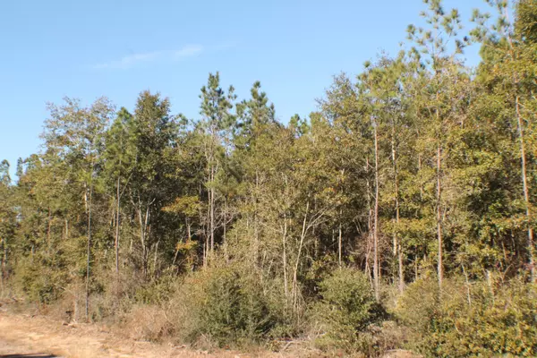 Milton, FL 32570,Lot 1 Forest Hills Drive