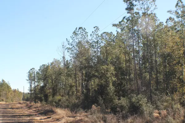 Milton, FL 32570,Lot 10 Forest Hills Drive