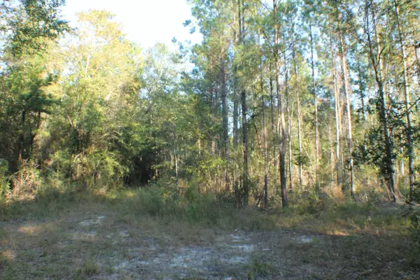 Laurel Hill, FL 32567,114 AC Caveman Road