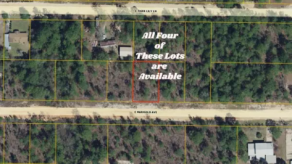 Defuniak Springs, FL 32433,Lot 35 E Marigold Avenue