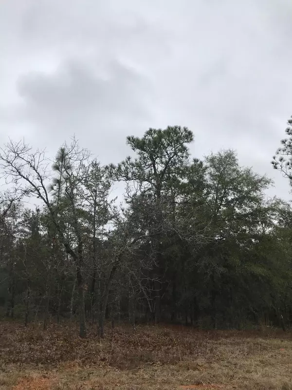 Defuniak Springs, FL 32433,Lot 35 E Marigold Avenue