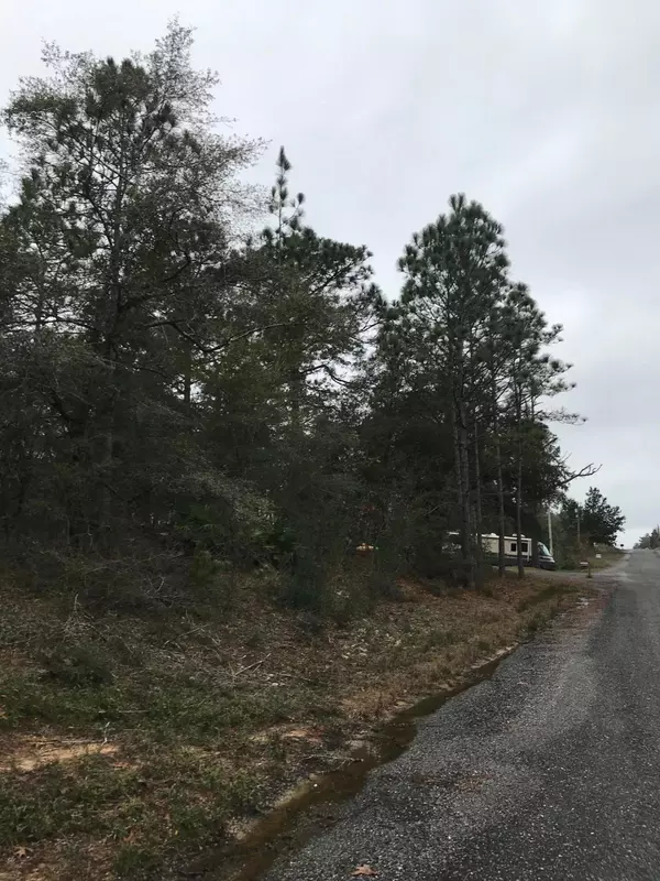 Defuniak Springs, FL 32433,Lot 13 E Tiger Lily Lane