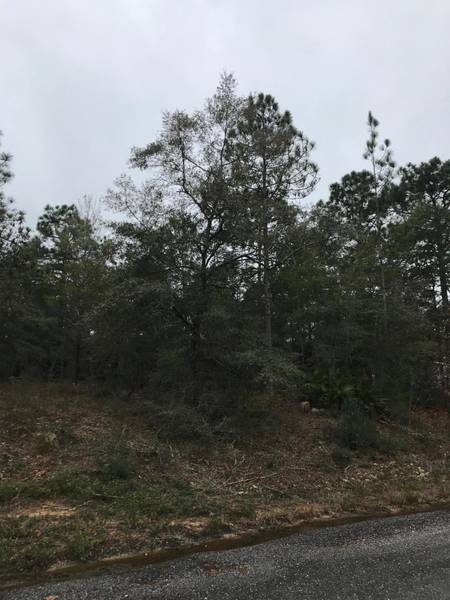 Lot 13 E Tiger Lily Lane, Defuniak Springs, FL 32433