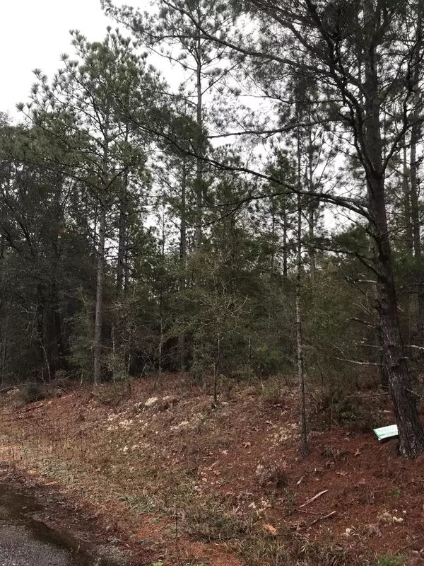 Lot 14 E Tiger Lily Lane, Defuniak Springs, FL 32433