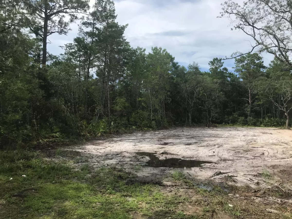 Santa Rosa Beach, FL 32459,Lot 31 GREENBRIAR Lane