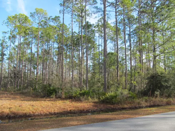 LOT 53 Mallet Bayou Road, Freeport, FL 32439