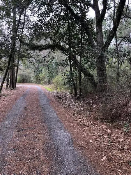 Lot 12 Jones Drive, Freeport, FL 32439