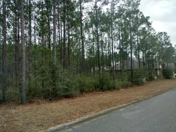 Lot 34 Secret Street, Freeport, FL 32439