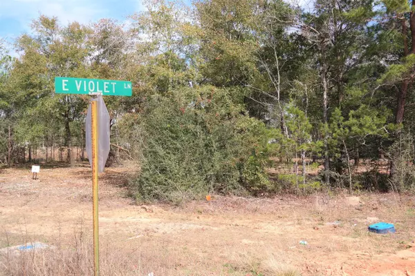 Defuniak Springs, FL 32433,L1B7 Violet Lane