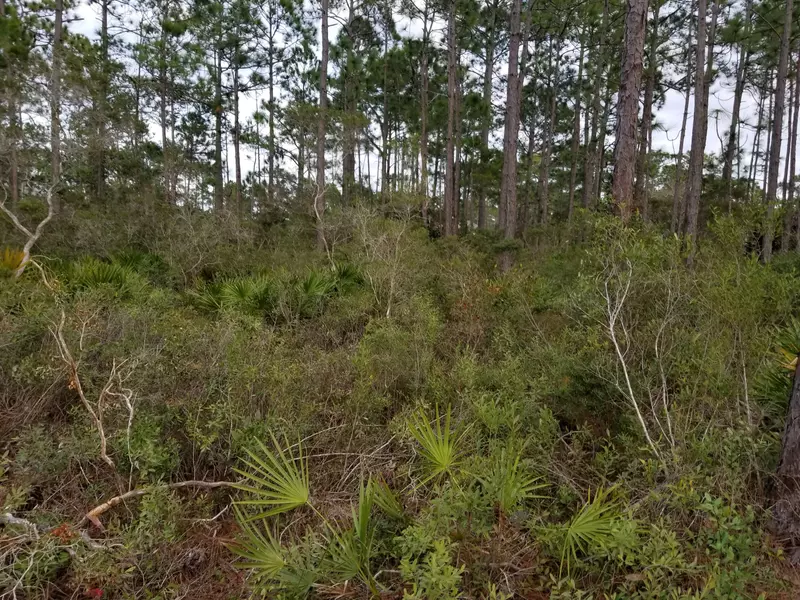 lot 11 BONITA COURT, Santa Rosa Beach, FL 32459