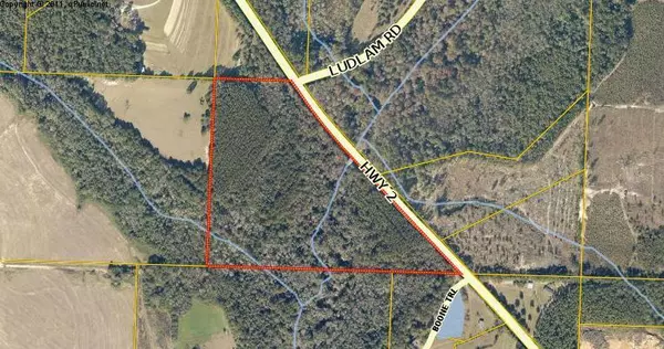 Laurel Hill, FL 32567,34 Acres Co Hwy 2