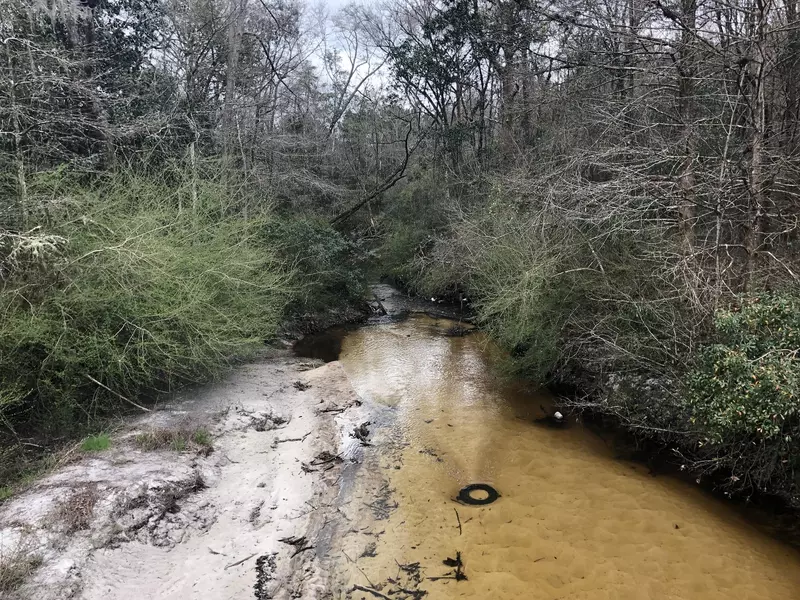 34 Acres Co Hwy 2, Laurel Hill, FL 32567