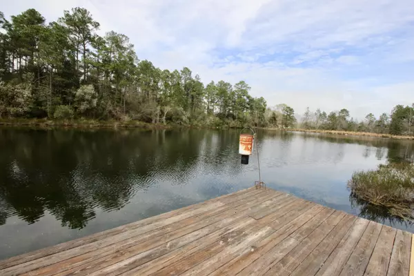 Defuniak Springs, FL 32433,393 Pinewood Drive