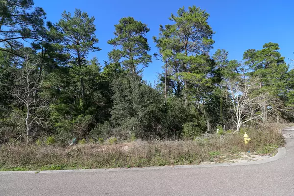 Santa Rosa Beach, FL 32459,Lot 25 Spotted Dolphin Road