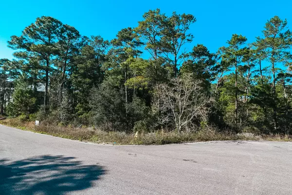 Santa Rosa Beach, FL 32459,Lot 25 Spotted Dolphin Road