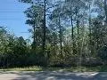 1408 Co Hwy 393 N - Lot 23, Santa Rosa Beach, FL 32459