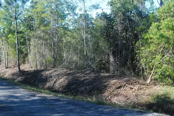 Santa Rosa Beach, FL 32459,Lot 3 Santa Rosa Street