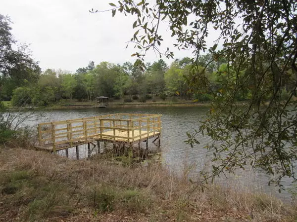 Defuniak Springs, FL 32433,1357 Martin Rd Road