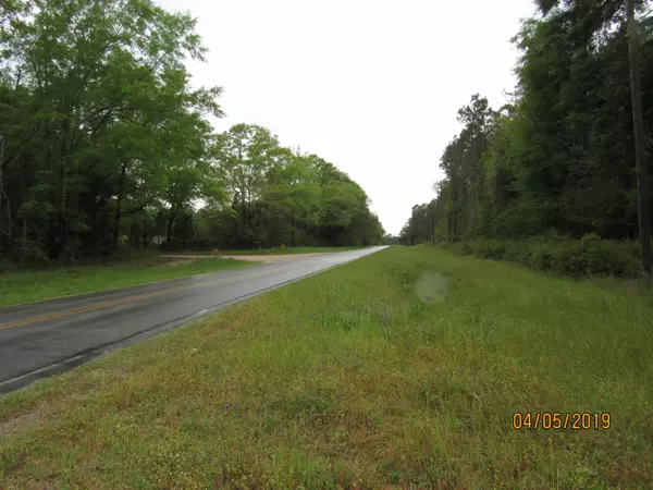 Darlington, FL 32433,10 AC W Co Hwy 181