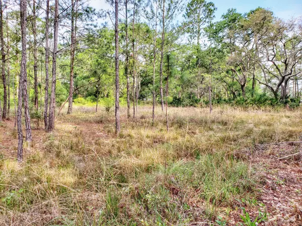 Freeport, FL 32439,Lot 8B Lagrange Road