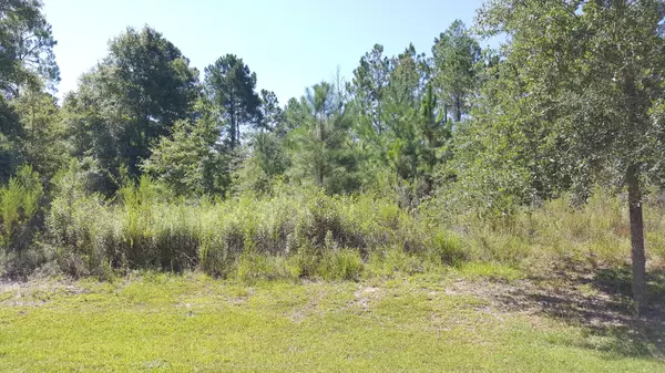 Crestview, FL 32536,LOT #24 Pinot Way