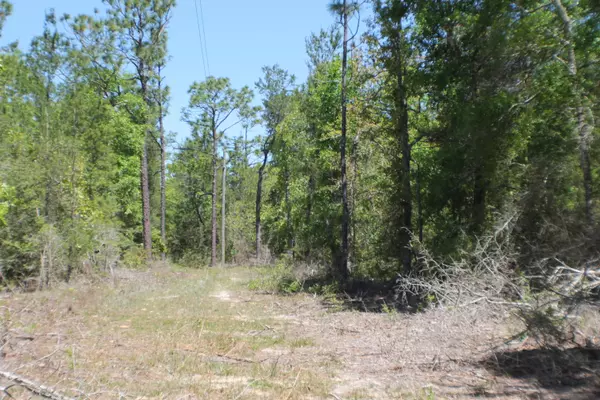 Crestview, FL 32536,12 AC Bear Head Road