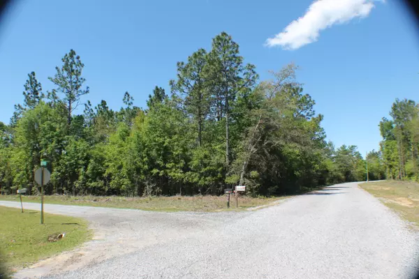 Crestview, FL 32536,23 AC Bear Creek Road