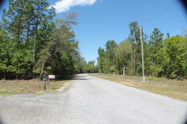 Crestview, FL 32536,23 AC Bear Creek Road